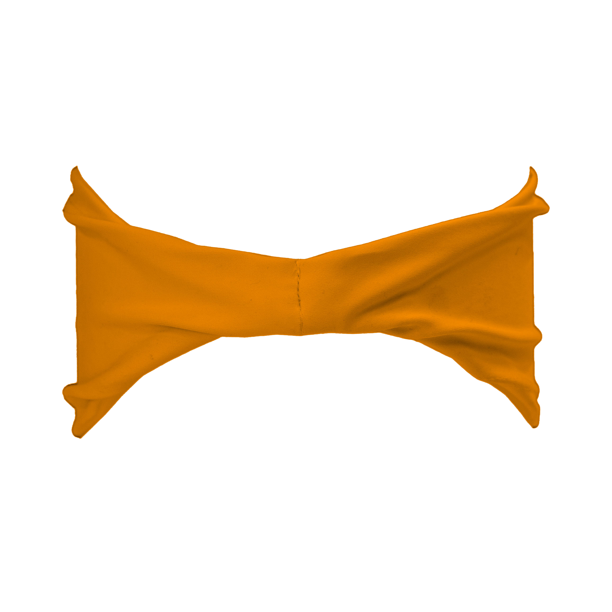 goldheadbandbackcopy.png